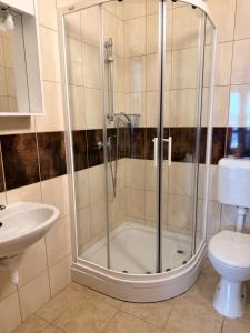 a shower in a bathroom with a sink and a toilet at Apartments Tomislav in Vodice +47 photos