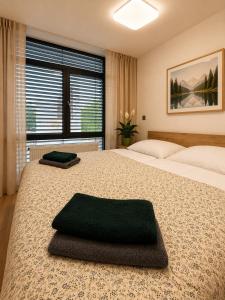 a bedroom with two beds and a large window at Microbyty & Apartments in Děčín