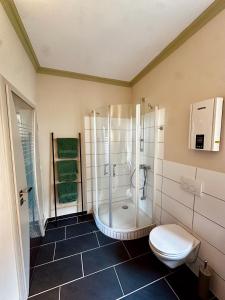 a bathroom with a shower and a toilet at Hirschquartier in Hachenburg +8 photos