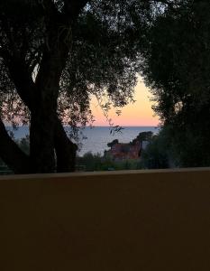 a tree with a view of the ocean at sunset at Guest House Sea Breeze in Sveti Stefan +19 photos