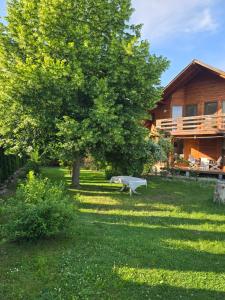 a tree and a bench in front of a house at The Wooden House in Moldoveneşti