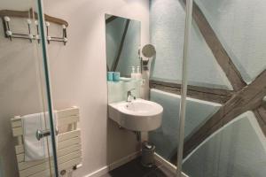 a bathroom with a sink and a shower with a mirror at Le Cottage Bleu- In the Heart of Riquewihr by La Maison Bleue in Riquewihr +3 photos