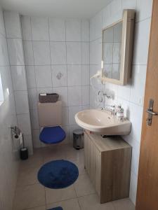 a small bathroom with a sink and a toilet at Rest. Beaver Creek Ranch in Rothenthurm