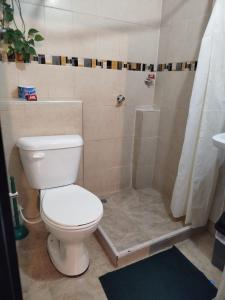 a bathroom with a toilet and a shower at Tour La Matrona in Villa de Leyva