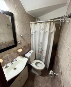 a bathroom with a toilet and a sink and a shower at Amanecer y Canela in Mina Clavero