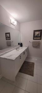 a bathroom with a sink and a large mirror at Stylish 5-Bedroom Retreat Near Port Dover and Turkey Point Beach in Simcoe +20 photos