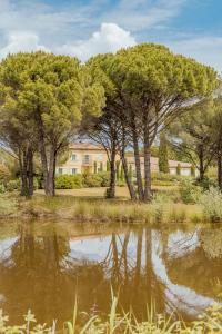 a group of trees next to a body of water at La Petite Maison d'Emma in Vidauban