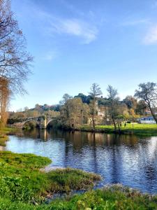 a river in a park with a bridge in the background at YourHouse O Foxo in Allariz