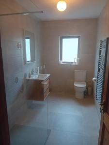a bathroom with a sink and a toilet and a window at Old Fort Lodge in Sligo +29 photos