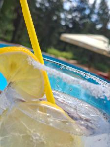 a drink with a lemon and a yellow straw at Maglian Forest Retreat in Divčibare