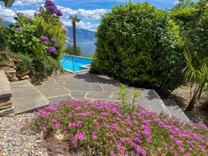a garden with pink flowers and a swimming pool at Parco Esotico by HolAp SA in Brissago