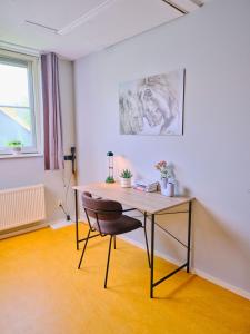 a desk in the corner of a room with a chair at Gezinsvriendelijk natuurhuis De Kraanvogel in Appelscha