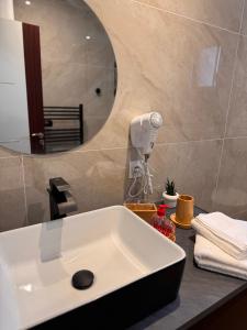 a bathroom with a white sink and a mirror at 105 - Voiron centre - DeTassigny in Voiron