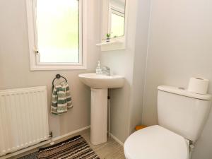 a bathroom with a toilet and a sink and a window at Foxglove 4 in Ringwood +21 photos