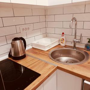 a kitchen counter top with a sink and a sink at Zaga Bloom Apartment in Banja Koviljača +14 photos
