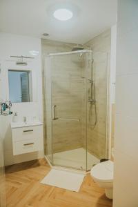 a bathroom with a shower and a toilet and a sink at Cztery Kąty Zator Energylandia Przeciszów in Przeciszów