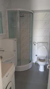 a white bathroom with a toilet and a shower at Zgona in Livno +18 photos