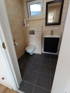 a small bathroom with a toilet and a sink at Tiny house aan het water op de appelhof in Wommels