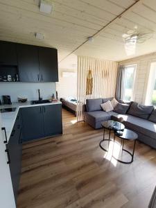 a kitchen and living room with a couch and a table at Tiny house aan het water op de appelhof in Wommels