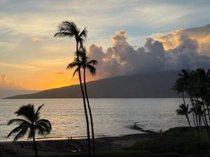 a group of palm trees on the beach at sunset at Oceanfront Artist Condo Panoramic Maui Sunsets in Kihei