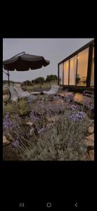 ein Haus mit einem Sonnenschirm und einigen lila Blumen in der Unterkunft Goshen in ‘Isfiyā