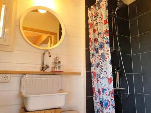 a bathroom with a sink and a mirror at Die blaue Hütte - Tiny House am Elberadweg in Seestermühe