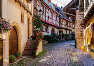 an alley in an old town with buildings and flowers at Le Zen in Eguisheim