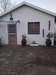 a white house with two potted plants in front of it at 33 On Loop, Flat 3 in Ladybrand