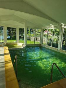ein großes Hallenbad mit grünem Wasser in der Unterkunft Luisenthal Conac Boutique Retreat & Spa Bucovina in Fundu Moldovei