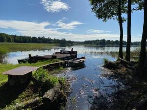a lake with a dock and a boat in the water at Domek Ewa in Macharce