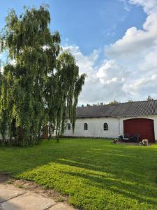 a white barn with a large yard in front of it at Tranum B&B in Brovst