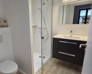 a bathroom with a shower and a toilet and a sink at Klass Loft Kemperle in Quimperlé +24 photos