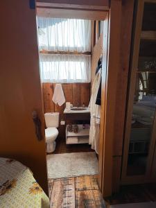a small bathroom with a toilet and a sink at Chalé Do Lago in Garibaldi