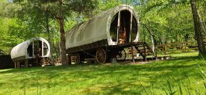 an old train car on display in a field at Várlak Glamping in Sub Cetate