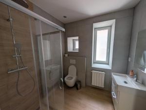 a bathroom with a shower and a toilet and a sink at Apartmány v Propadání in Jedovnice