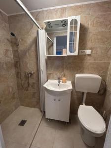 a bathroom with a toilet and a sink and a shower at Raisa in Ocna Sibiului