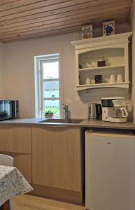 a kitchen with a sink and a counter top at Tranum B&B in Brovst