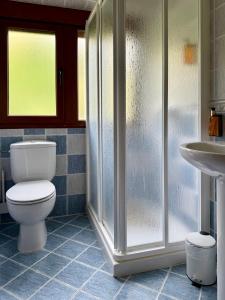 a bathroom with a toilet and a shower and a sink at Rincón de Laciana in Caboalles de Abajo +36 photos