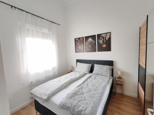 a bedroom with a bed with white walls and a window at Apartman Petkov in Palić +2 photos