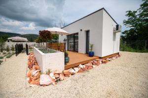 a house with a bunch of chickens around it at Casa Oliva Tokaj in Tokaj