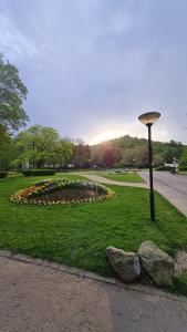 a park with a flower clock in the grass at Ferienwohnung Kamerer in Bad Harzburg