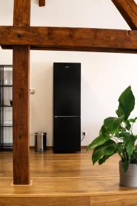 a black refrigerator in a room with a potted plant at ATRIO Apartments 3 in Trenčín