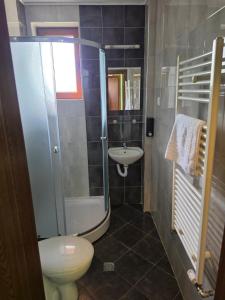 a bathroom with a shower and a toilet and a sink at Къща за гости Торлашка среща in Vŭrbovo