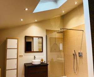 a bathroom with a sink and a shower with a mirror at Chez Sophie in Spa
