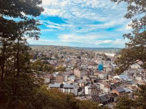 a cityscape of a city with buildings and trees at Chez Sophie in Spa