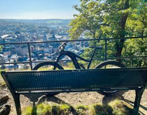 a bike sitting on a bench overlooking a city at Chez Sophie in Spa +11 photos