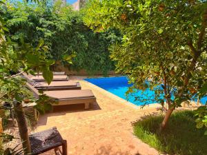 a pool with lounge chairs next to a tree at Darna in Marrakesh