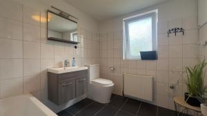 a bathroom with a toilet and a sink and a mirror at Agnieszkas Pension in Havelberg +38 photos