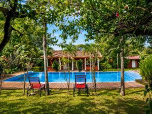 two chairs in a yard next to a swimming pool at Casa Mapache Pool and Breakfast Included near Tamarindo Beach in Tamarindo