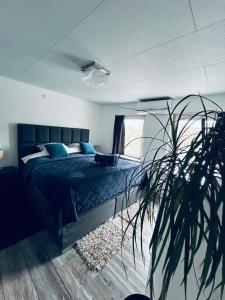 a bedroom with a bed and a plant at B&B Prachtig Allemachtig in Valkenburg